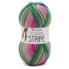 Forza Stripe