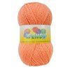 wendy1292 l
